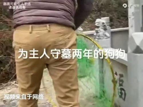 吃瓜大姐是谁,网络红人的崛起与影响力