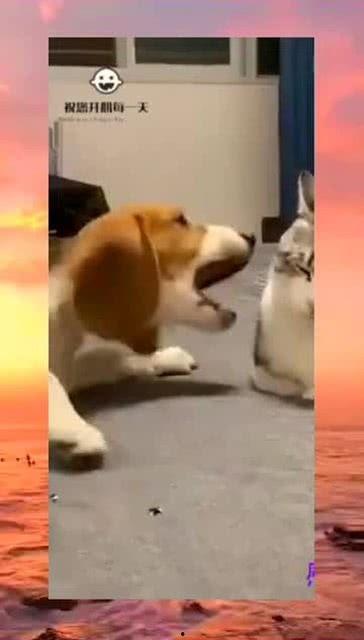 吃瓜视频群众抢眼,揭秘网络热点的幕后故事