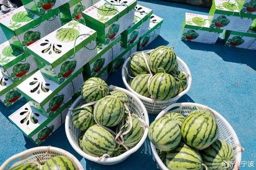 潮州吃瓜搭子,与吃瓜搭子共赴一场味蕾盛宴