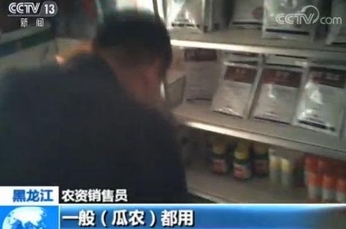 吃瓜群众每日速递,热点事件盘点与深度解读