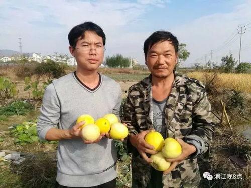 吃瓜我们在行动,揭秘娱乐圈风云变幻