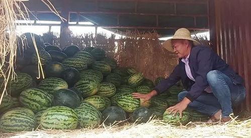 好市民吃瓜,轻松解读社会热点，提升公民素养