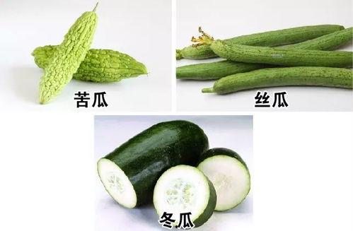 入伏吃三瓜是什么瓜,入伏必吃的“三瓜”，清凉一夏，健康相伴