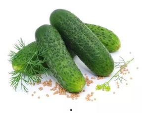 学士街日常吃瓜,街头小吃，瓜香四溢的日常味蕾之旅