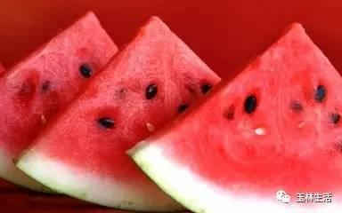 吃瓜命,揭秘娱乐圈背后的真相与八卦