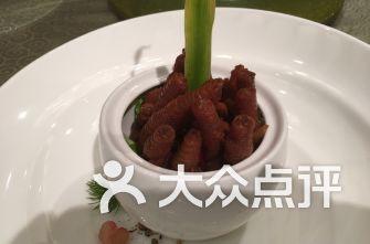 海宁街道吃瓜,瓜果飘香，品味生活新风尚