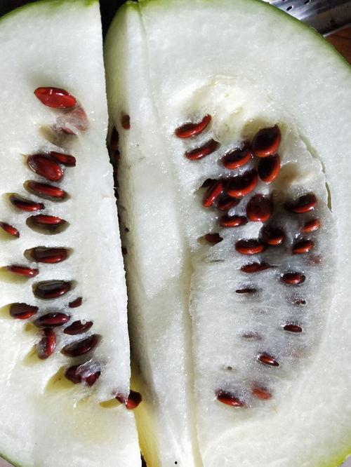 吃瓜吃皮不吃肉,探寻吃瓜新风尚