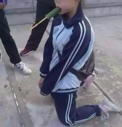 鹤壁女孩霸凌吃瓜,网络吃瓜背后的真相与反思