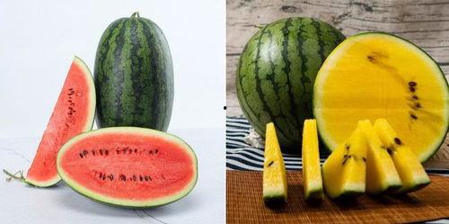 一起吃瓜南京,一起品味这座城市的独特魅力