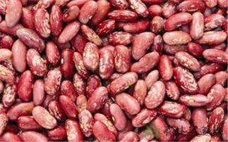 铁齿铜牙雷公吃瓜,揭秘古代侠客的智慧与幽默