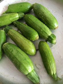 小角瓜怎么拌着吃,家常美味新体验