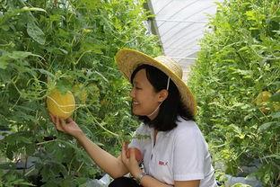 青州最新吃瓜消息,揭秘当地热点事件背后的真相