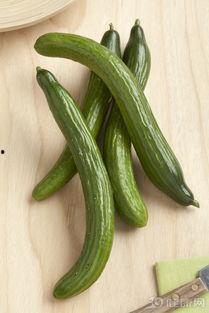 胃病可以吃瓜吗,瓜类食物的适宜与禁忌