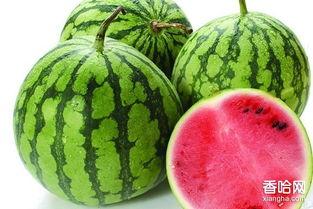 例假可以吃梨瓜,梨瓜助力女性健康调理