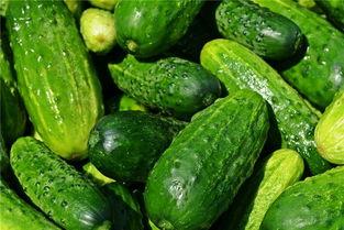 梦到孕妇摘瓜吃,孕妇摘瓜食的神秘寓意解析